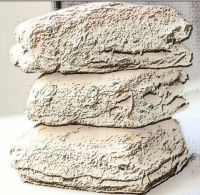 biscuits
