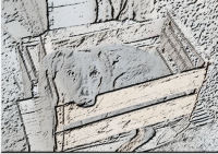 dog in crate