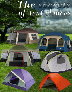 Camping tents under a tree and stormy sky
