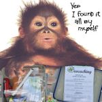 geocaching monkey with swag